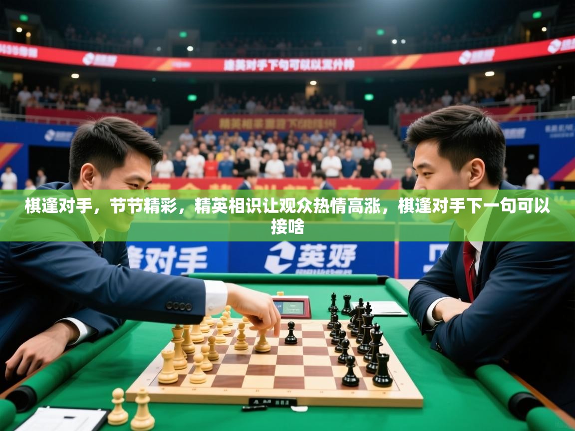 2025 意昂体育app棋逢对手，节节精彩，精英相识让观众热情高涨，棋逢对手下一句可以接啥  第1张