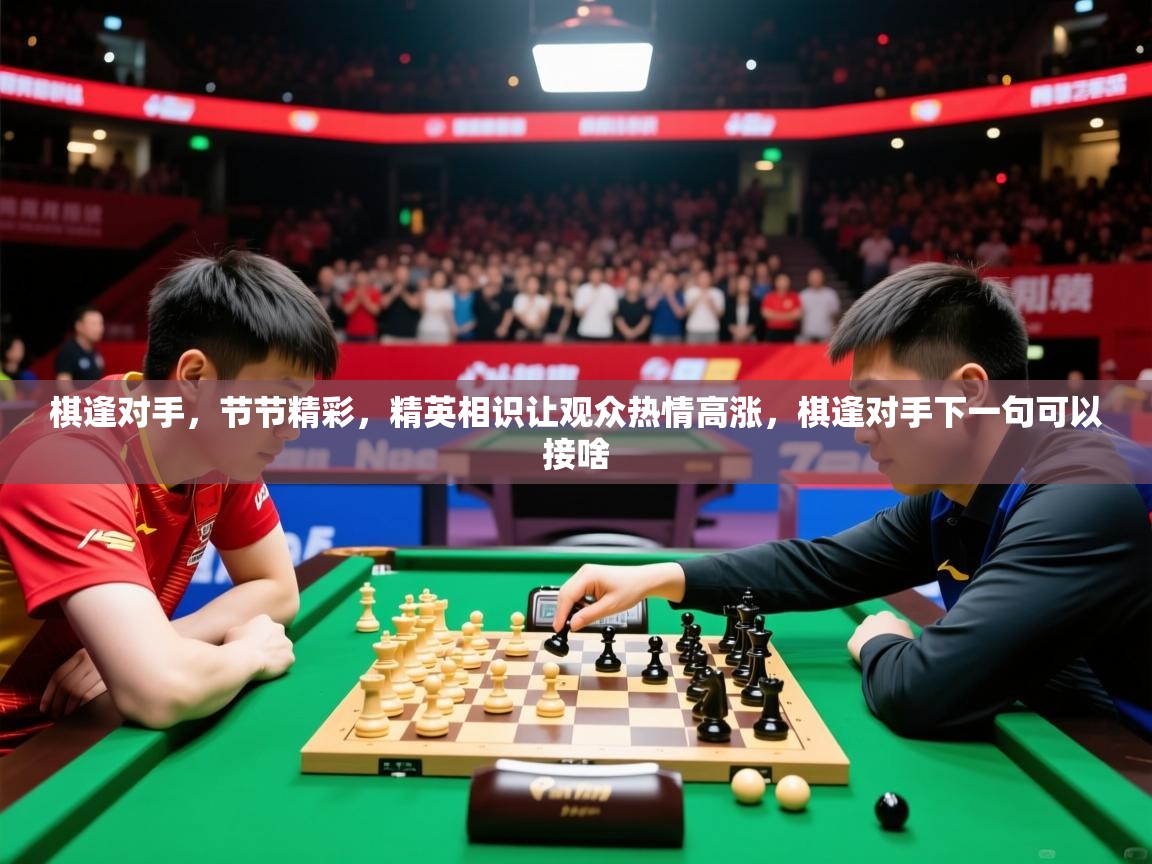 2025 意昂体育app棋逢对手，节节精彩，精英相识让观众热情高涨，棋逢对手下一句可以接啥  第3张
